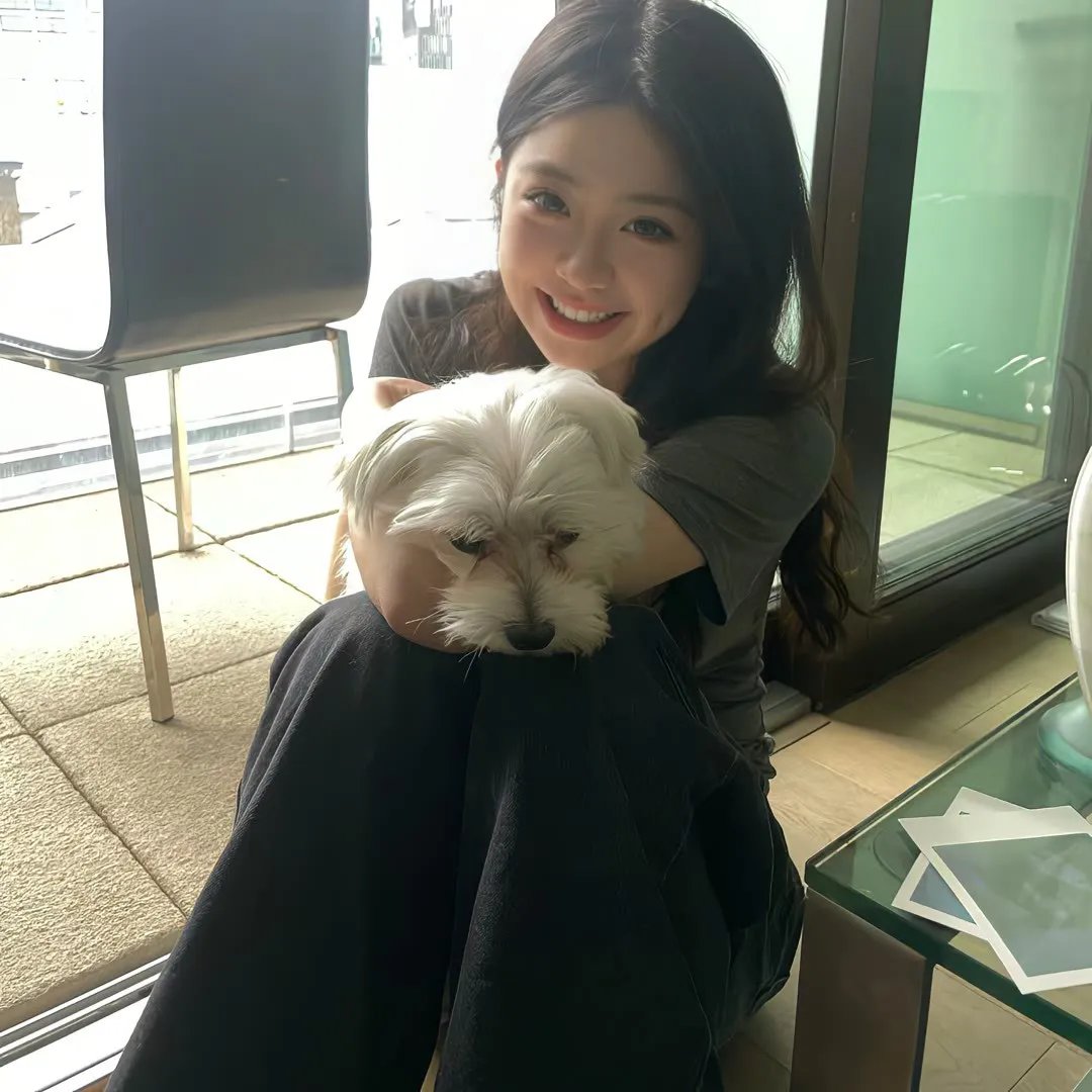 极地守护犬