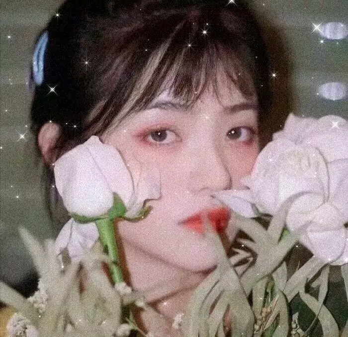 蝴蝶春梦